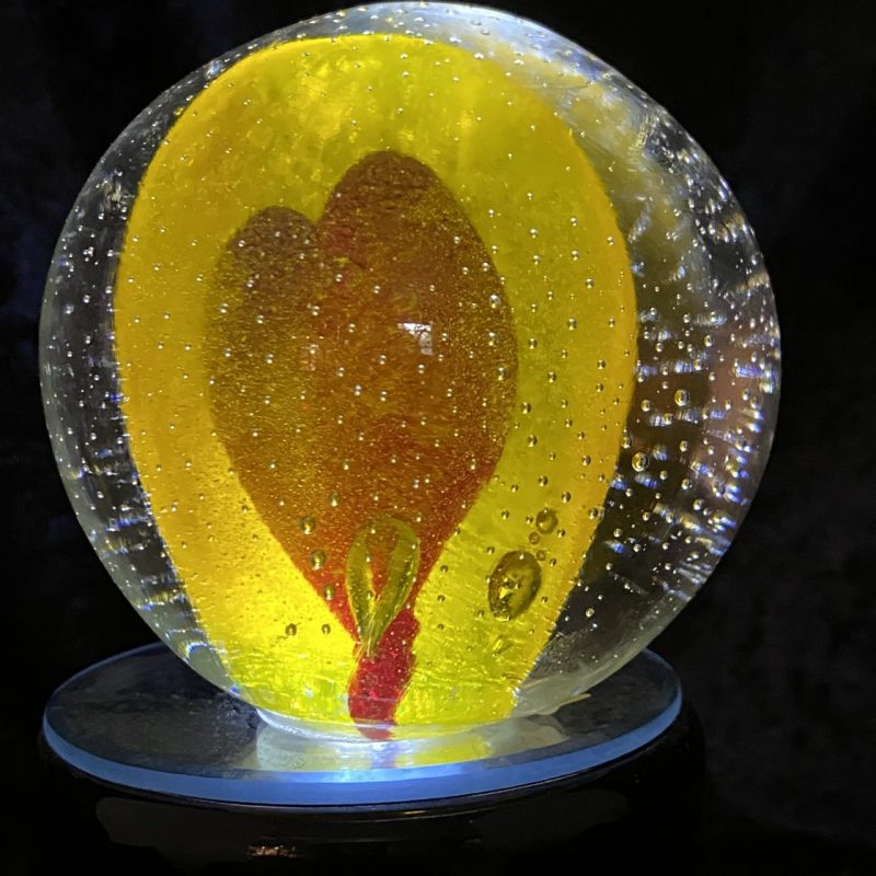 heart-encased-paperweight-bloom-and-bark-glass-blowing-studio