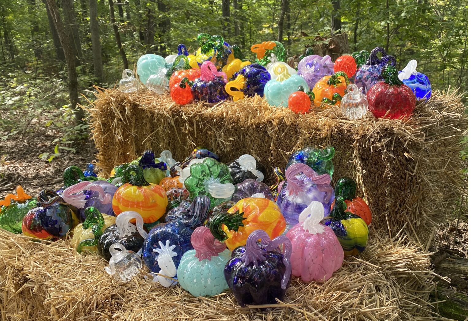 Glass Blown Pumpkins Bloom and Bark Glass Blowing Studio & Natural Farm